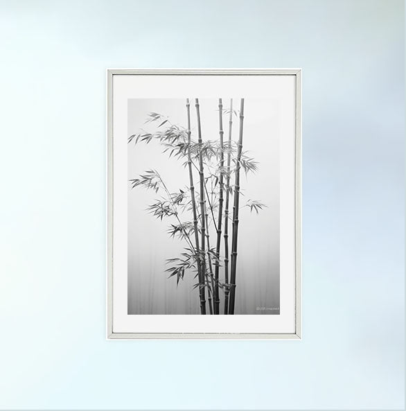 静かな竹林のアートポスター銀フレームあり