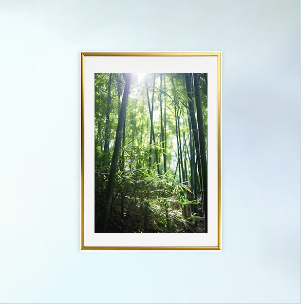 静かな竹林のアートポスター金フレームあり