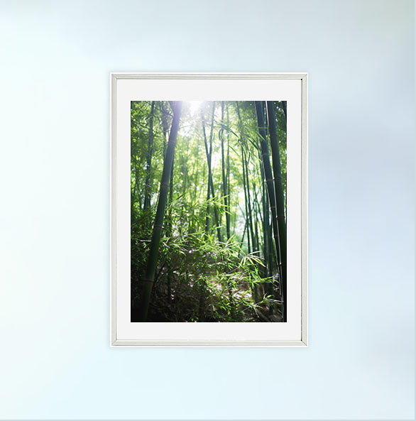 静かな竹林のアートポスター白フレームあり