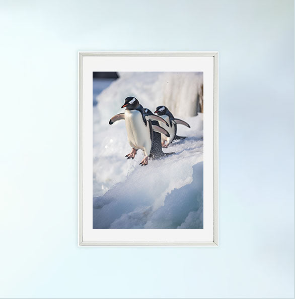 気まぐれなペンギンたちのアートポスター白フレームあり