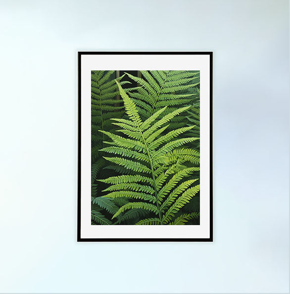 ボタニカルのアートポスター:botanical_1027 / 植物__のポスター画像黒色のフレームイメージ