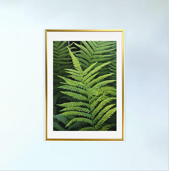 ボタニカルのアートポスター:botanical_1027 / 植物__のポスター画像金色のフレームイメージ