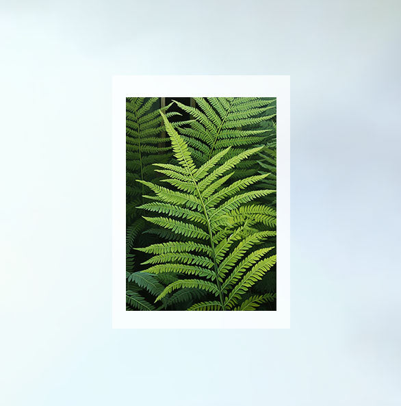 ボタニカルのアートポスター:botanical_1027 / 植物__のポスター画像フレーム無しの設置イメージ