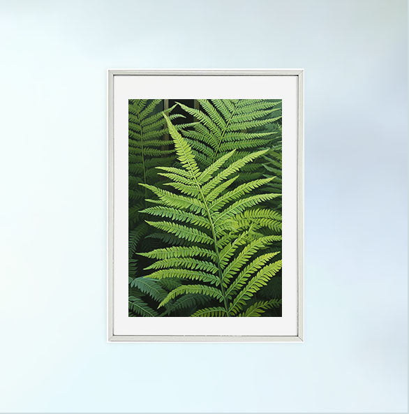 ボタニカルのアートポスター:botanical_1027 / 植物__のポスター画像銀色のフレームイメージ