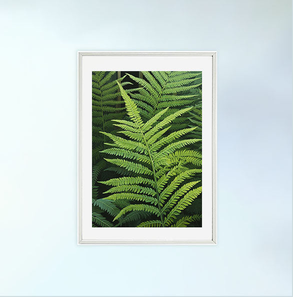 ボタニカルのアートポスター:botanical_1027 / 植物__のポスター画像白いフレーム