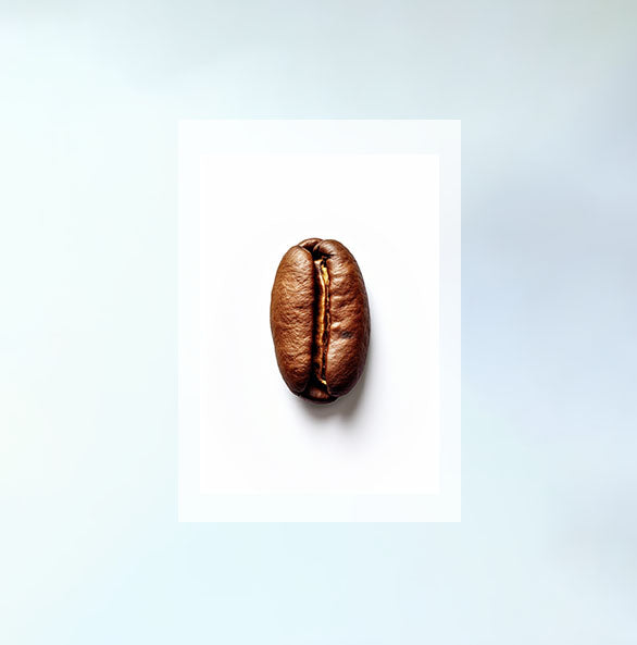 コーヒー豆のアートポスター原画のみ設置イメージ