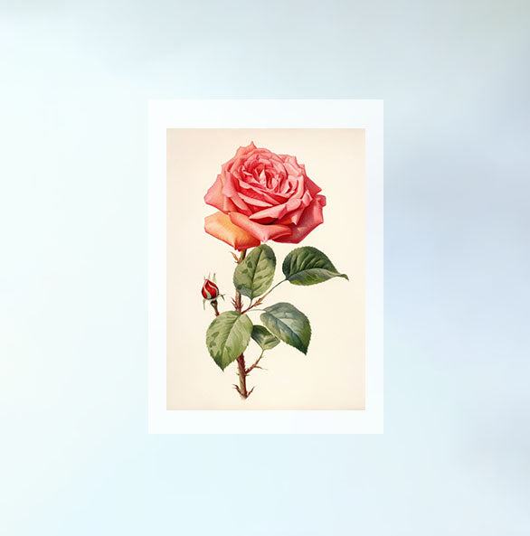 薔薇のアートポスター原画のみ設置イメージ