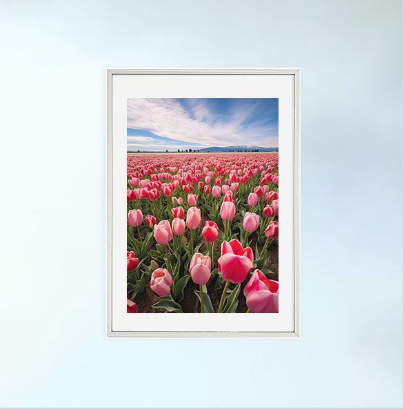 チューリップ畑のアートポスター:tulip_field_c6b6 通販